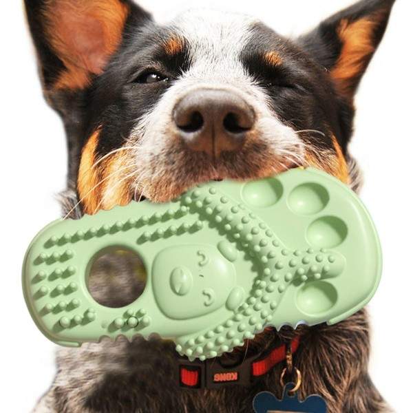 Tøffel Shape Hund Tygge Leker  TPR Hund Banner Leker Interaktiv Valp Tilbehør