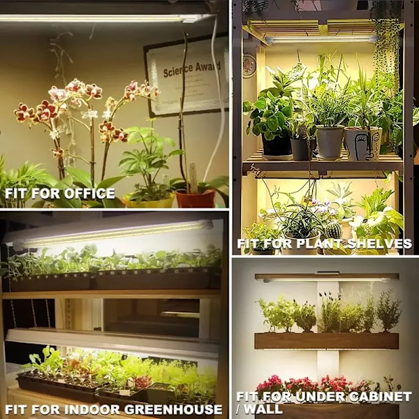 Led Grow Light USB Timer Phyto Lamp Planter Dimbar LED Lampa Phytolamps Full Spectrum Hydroponics Growing Lamps LED Plant Light