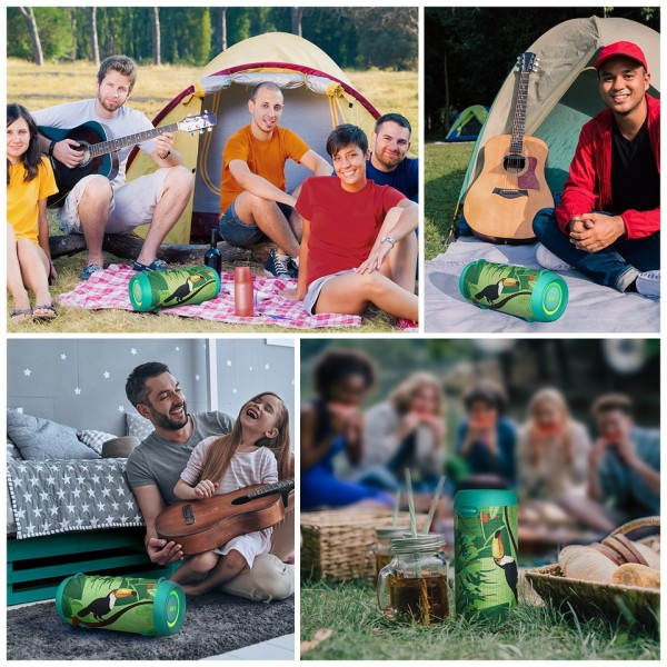 Vihreä Bluetooth kaiutin 60W lähtö teho Bluetooth kaiutin D-luokan vahvistimella erinomainen basso