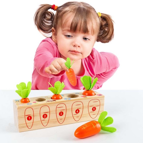 Söpö Puinen  Montessori Porkkana Veto Lelu Varhainen Koulutus Rakennus Fruit Peli Koulutus Lapsille lelut