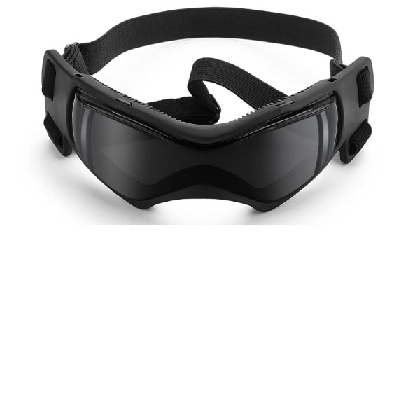 Glasögon för hundar Hund glasögon UV skydd glasögon snö skydd vind skydd damm skydd med justerbar rem
