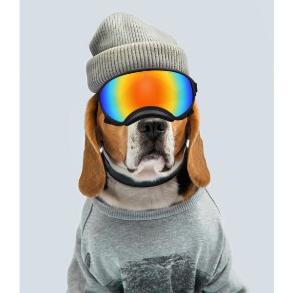 Hunde briller Hund solbriller briller for hunder hund ski briller med UV  beskyttelse kjæledyr solbriller c8f5 | Fyndiq