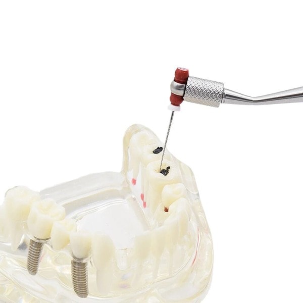 Dental Basic Instrument Hand Use Endodontic Files Holder Root Canal Treatment