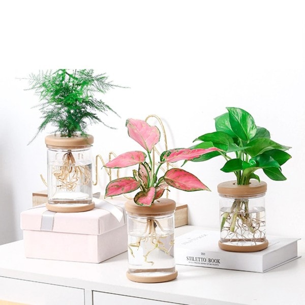 Mini Hydropon Blomster Krukke Hjem Vase Dekor Transparent Imitation Glas Smudfri Plante Krukker