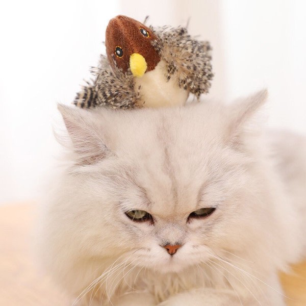 Melodi Chaser Serie Cat Toy Native Feather Simulation Design Simuler de ekte lydene av dyr leketøy for katt