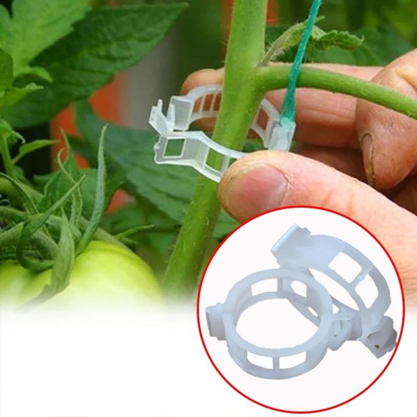 150 stykker Plast Plante Støtte Klips Gjenbrukbare Planter Vine Beskyttelse Poting Fiksering Verktøy for grønnsaks Tomat hage rekvisita