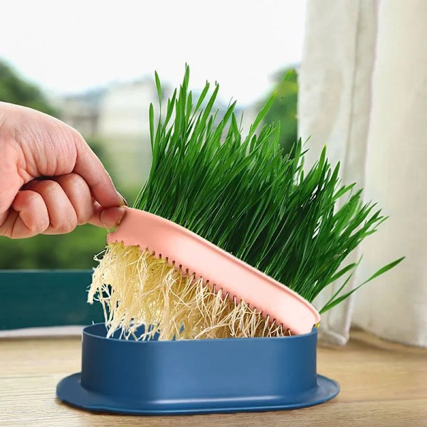 Husdjur Katt Spira Skål Växande Kruka Hydroponic Växt Katt Gräs Groning Matsmältning Förrätt Skål Växthus Grow Låda