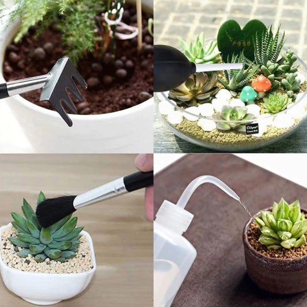 Sukkulenter planter værktøj sæt til indendørs planter hjem have sæt sort potte kaktus husplanter dyrkning værktøj