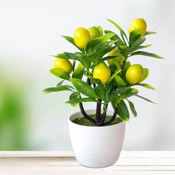 Konstgjord citron träd 18cm*24cm konstgjord kruka blommor falsk falsk växt