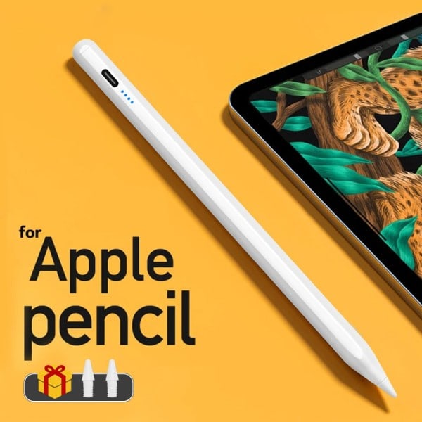 Penna Palm Rejection Power Display Ipad Pencil  Penna