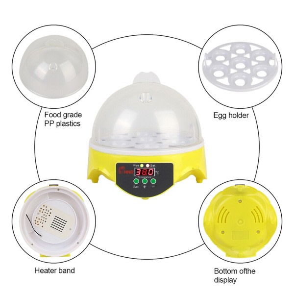 Mini Ägg Inkubator Gård Kläckeri Bröder Justerbar Digital Temperatur Fjäderfä Inkubator