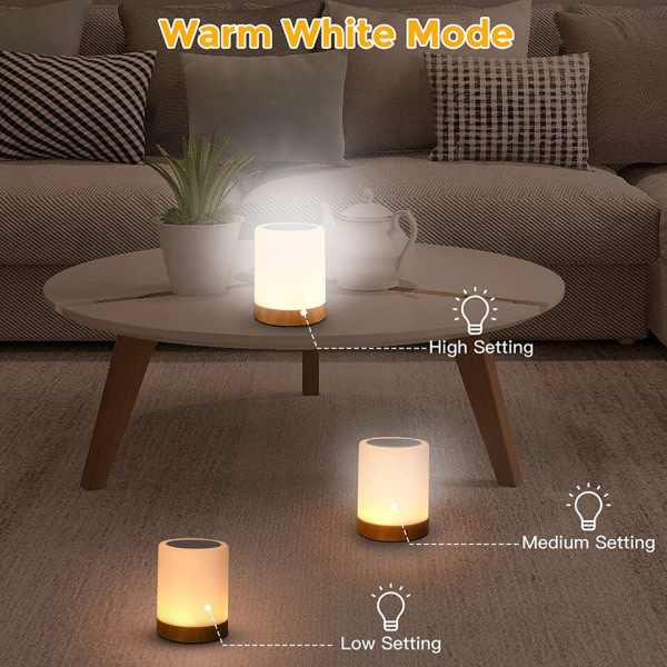 Touch Lampe LED Bord Lampe Sengebord Lampe RGB Bord Lampe Soveværelse Lampe med Touch Sensor