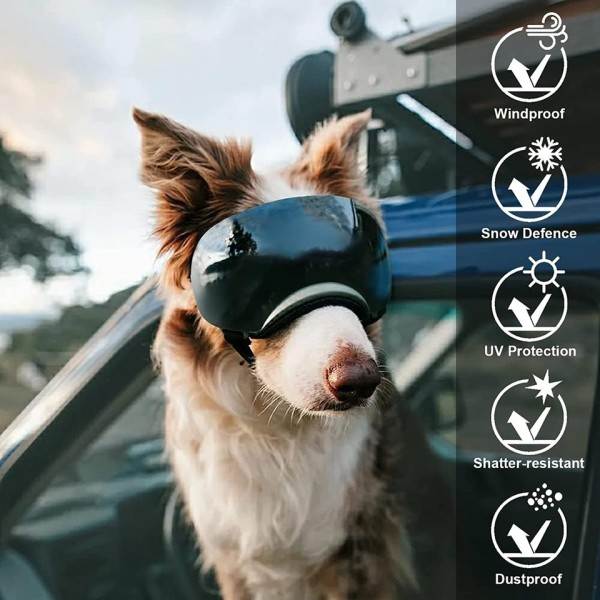 Hunde Goggles Ownpets Goggles med Justerbar Reim, Magnetisk Design Avtakbar Linse og UV beskyttelse