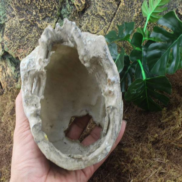 Harpiks påske ø hoved knogle kranie statue for øgler terrarium krybdyr skjul hule akvarie