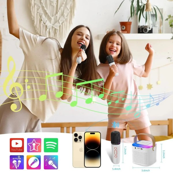 Bærbar Trådløs Dobbelt Mikrofon Karaoke Maskin Bluetooth PA Højttaler KTV DSP System HIFI Stereo Lyd RGB Farverige LED lys