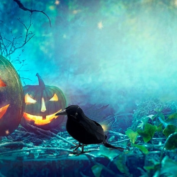 Halloween Svart Kråke Ornament Simulering Kråke Dyr Modell Fugl Skremmende Leker