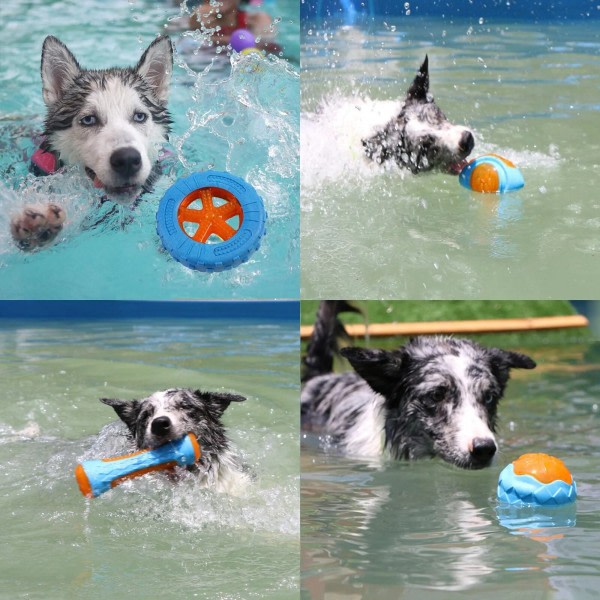 Gummi Hund Leksaker för Hund Tuggande Bittålig Kniper Träning Leka leksak Interaktiva Hund leksaker