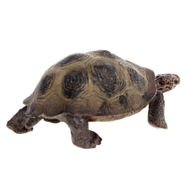 3,4 tommer Kæmpe skildpadde Vild Liv Dyr Legetøj Skildpadde Figur