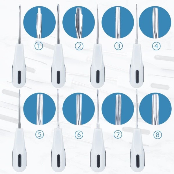 8st set Dental Luxating Lift Hissar Clareador Curved Root Extracting Tandläkare Kirurgiskt Instrument