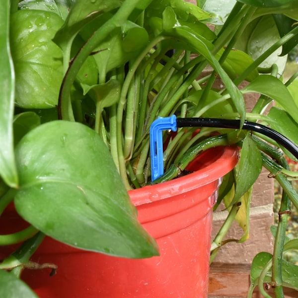 Have automatisk vanding system dryp vanding 4-vejs 3/5mm 2-vejs dryp pil sender potte plante 20 sæt drivhus