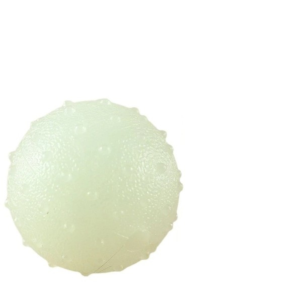 Kul Hund Valp TPR Gummi Lysande Bouncy Ball Tänder Rengöring Tugga Träning Leksak