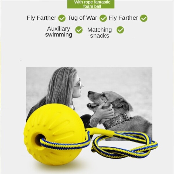 Kjæledyr ball leke med tau interaktivt hund leker