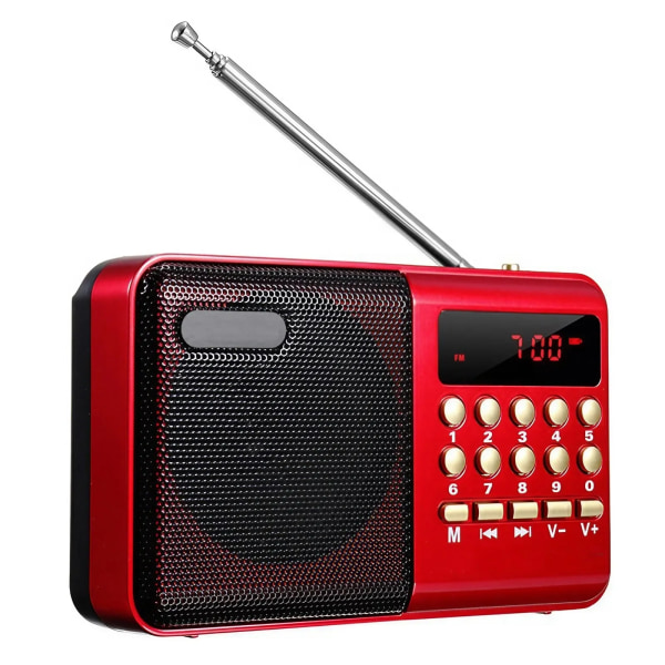 Mini Bärbar Radio Handhållen Ladda Digital FM USB TF MP3 Spelare Stonego Högtalare Enheter Tillbehör