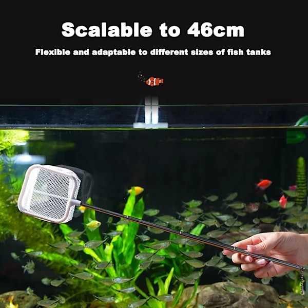 Akvarium Square Fiske Nett Med Sugekopp Uttrekkbar Langt håndtak Fiske utstyr