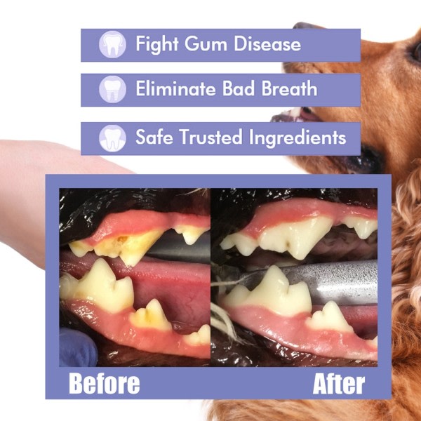 Kjæledyr tenner rengjøring spray munnpleie fjerning tann flekker hold frisk pust