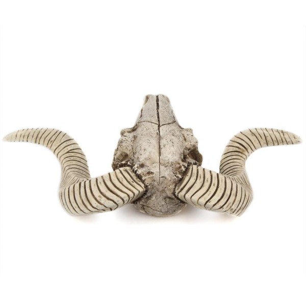 Harpiks Skelet Vædder Får Hoved Kranium Hoved Væg Hængende 3D Dyr Longhorn Skulptur Figuriner Håndværk