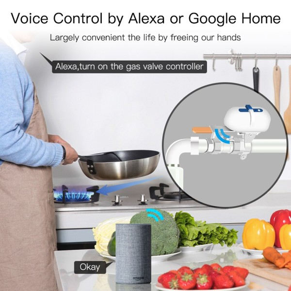 Smart WiFi/ZigBee vesi kaasu putki automaattinen sammutus OFF venttiili ohjain Smart Life APP kaukosäädin Alexa Google Homella