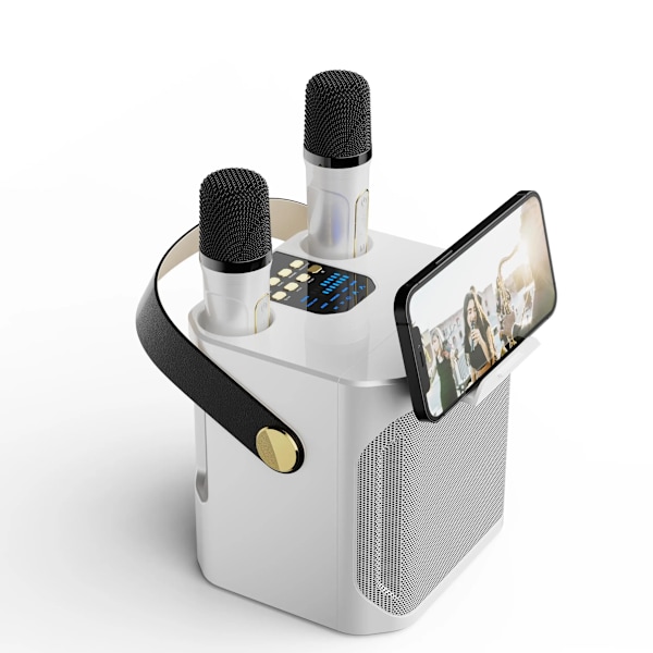 Hög effekt Karaoke Bluetooth Högtalare Bärbar 360 Stereo Surround Vattentät Trådlös Subwoofer med Dubbel mikrofon