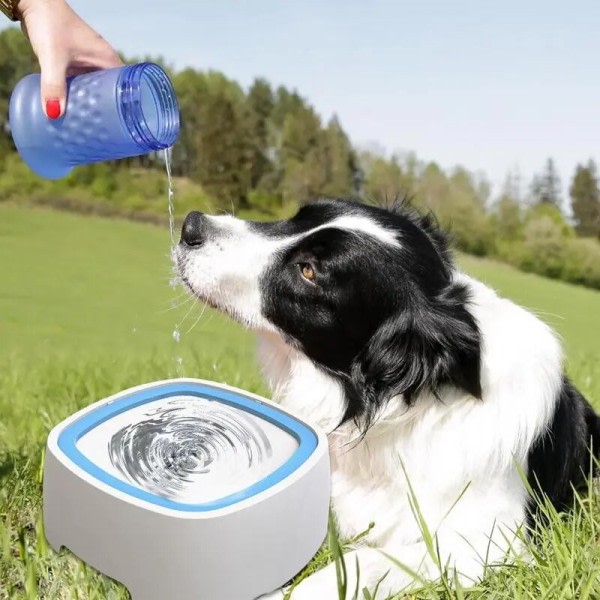 Vatten Skål för Hundar Anti kvävning Anti Overflow Anti Stänk långsam Dricksvatten Foder