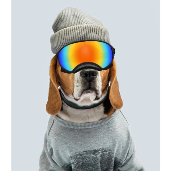 Koira Suojalasit Koira Aurinkolasit Koirille Koira Ski Suojalasit UV Suojalla lemmikki aurinkolasit