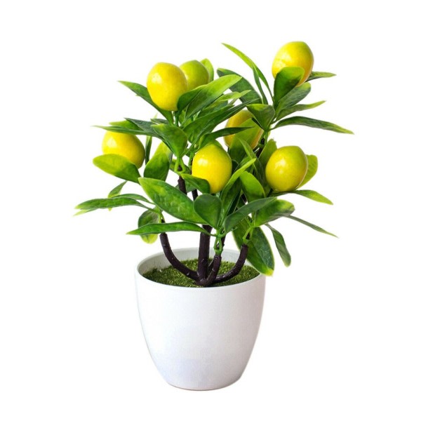 Konstgjord citron träd 18cm*24cm konstgjord kruka blommor falsk falsk växt
