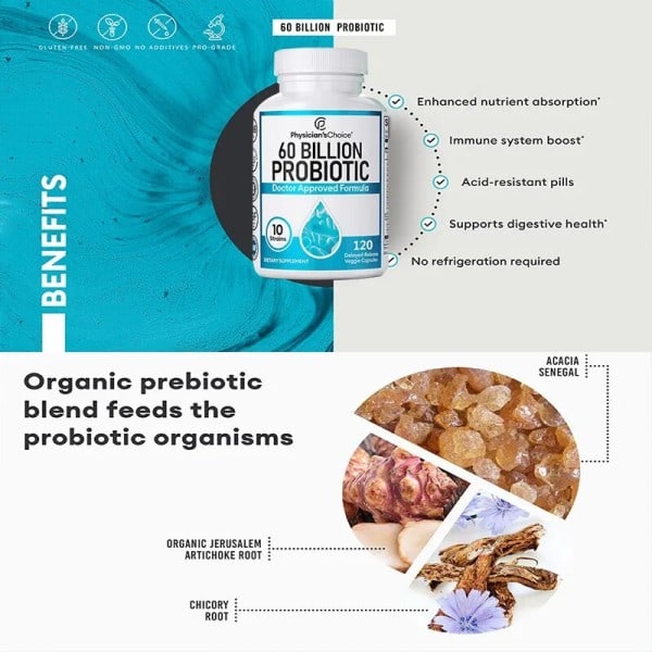 Probiotika för vikt förbränning fett accelererande metabolism näringsämnen matsmältning och tarm hälsa
