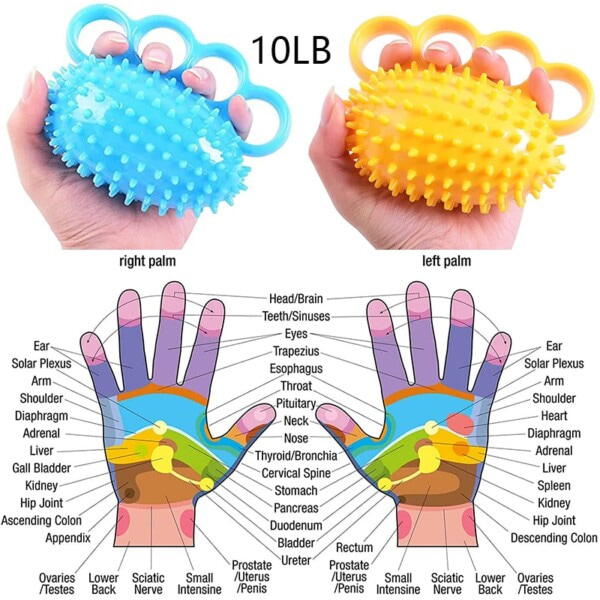Fyra fingrar Hand Grip Ball Rehabilitering Primär Träning Mjuk Finger Strengthener Massör