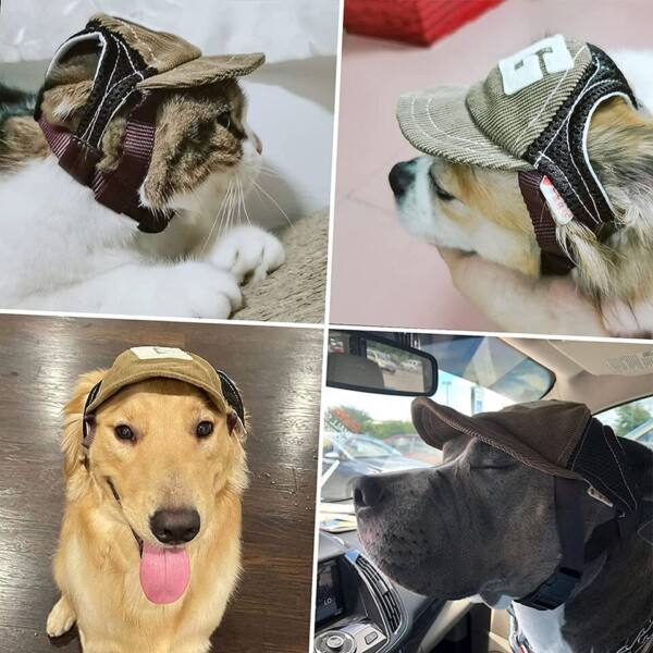 Koira hattu koira aurinkosuoja hattu pesäpallo lippis ulkoilu urheilu hattu korvarei'illä