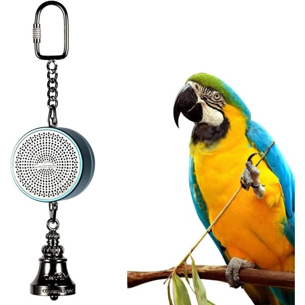 Papegoja leksaker till undervisning träning fågel talande coach interaktiv inspelning uppspelning