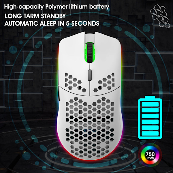 RGB 2.4G Trådlös Gaming Mus RGB Belysning Laddning Mus med Justerbar DPI Ergonomisk Design för Skrivbord Bärbar dator