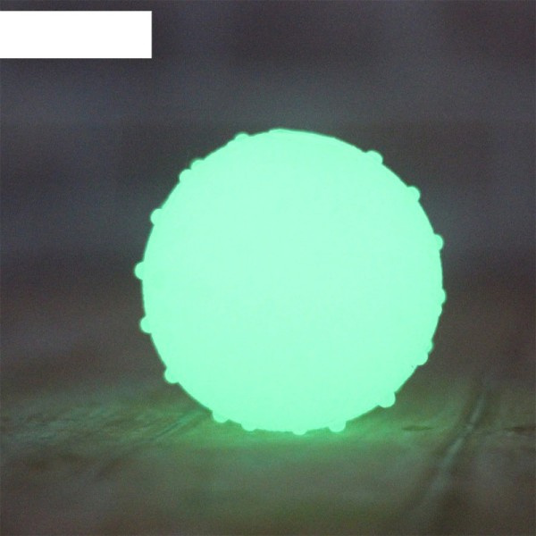 Moro Hund Valp TPR Gummi Luminous Sprett Ball Tenner Rengjøring Tygge Trening Leketøy