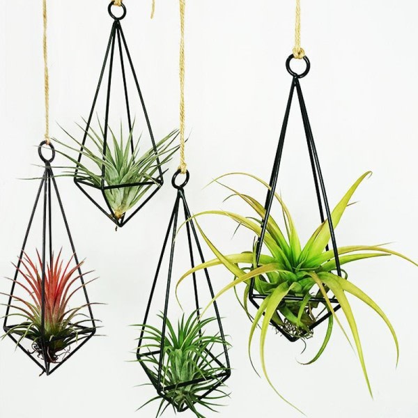 Metall hängande växt kruka växt hållare för luft växter display med kedjor vägg hängande geometrisk luft växter ställ