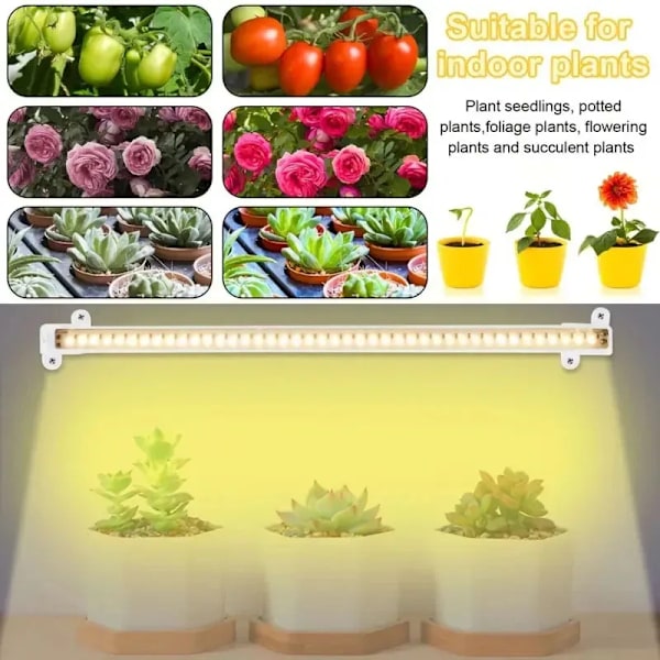 Led Grow Light USB Timer Phyto Lamp Planter Dimbar LED Lampa Phytolamps Full Spectrum Hydroponics Growing Lamps LED Plant Light