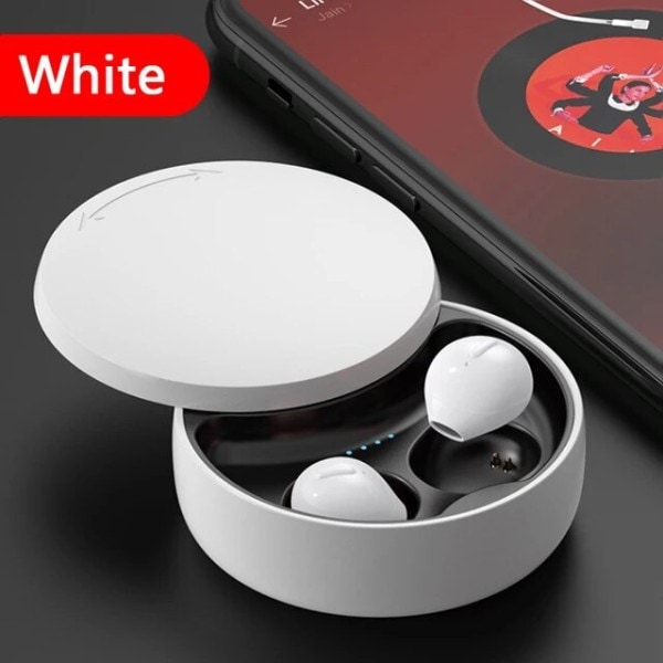 Minsta Osynliga Hörsnäckor Trådlösa Earons Bluetooth in Ear Mini Liten Hörsnäcka Dold med laddningsfodral