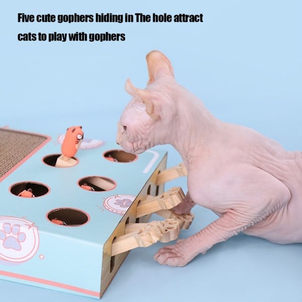 Morsom Cat Pinn Kattunge Hit Gophers Maze Interactive Educational Game Box With Scratcher