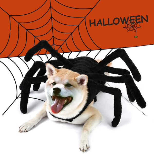 Husdjur Dräkt Svart Spindel Cosplay Dräkt Halloween Rolig Klänning Upp