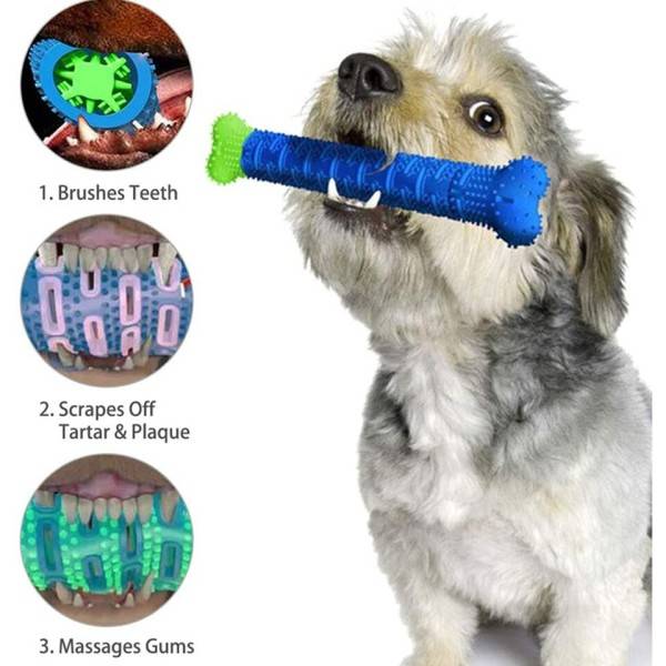 1 PC Hund Molar Stick Hund Tand Rengøring Massager Interaktiv Biddemodstandsdygtig Kæledyr forsyninger