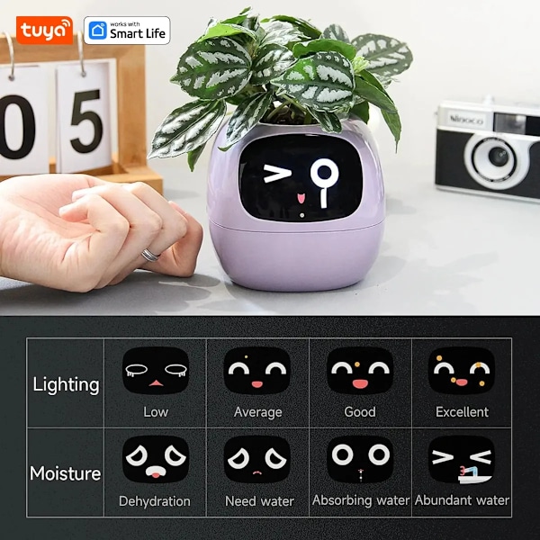 Tuya Ivy Smart Planter,endless Fun Over 49 Rich Expressions