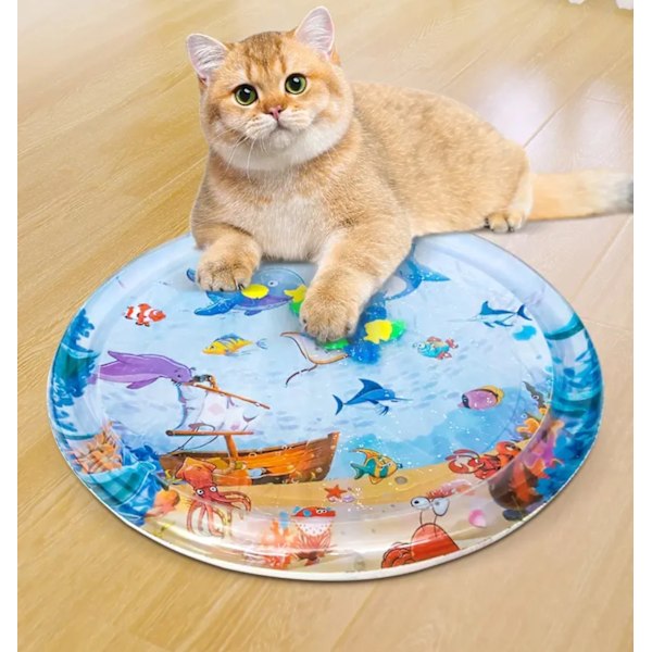 Vann Is pute Sommer Kjæledyr Reir Katt Reir Hund Reir Stor -Blum Is Morsom Interessant Sommer Sommer Kald Is Pute