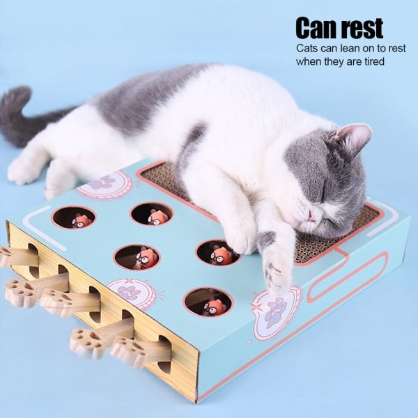Morsom Cat Pinn Kattunge Hit Gophers Maze Interactive Educational Game Box With Scratcher